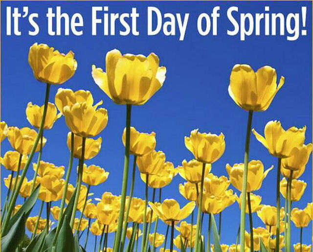 Name:  162284-It-s-The-First-Day-Of-Spring.jpg
Views: 119
Size:  72.3 KB