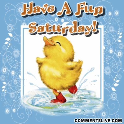 Name:  Have-A-Fup-Saturday-Dancing-Chicken-Picture.gif
Views: 83
Size:  89.8 KB