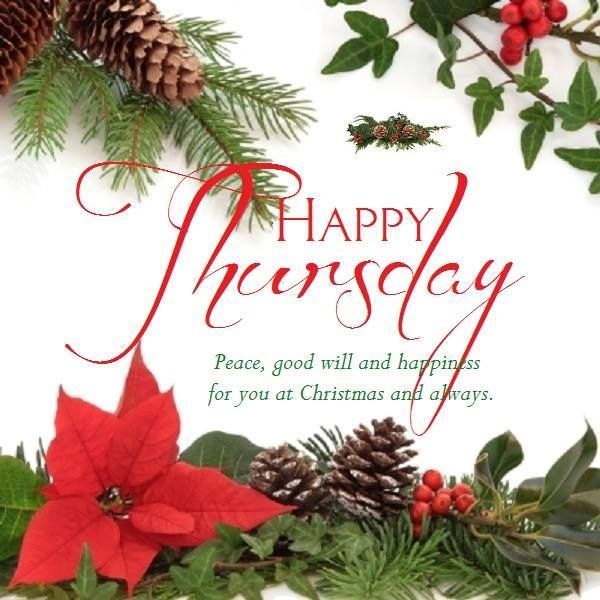 Name:  149556-Happy-Thursday-Christmas.jpg
Views: 49
Size:  60.3 KB