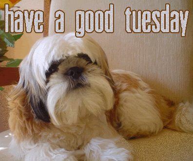 Name:  have-a-good-tuesday-dog-graphic.gif
Views: 34
Size:  164.9 KB