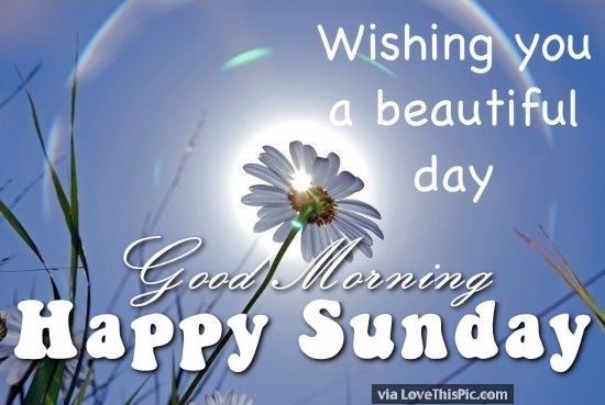 Name:  231869-Wishing-You-A-Beautiful-Day-Good-Morning-Happy-Sunday.jpg
Views: 141
Size:  42.6 KB