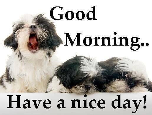 Name:  228099-Good-Morning-Have-A-Nice-Day-Cute-Quote-With-Dogs.jpg
Views: 33
Size:  37.2 KB