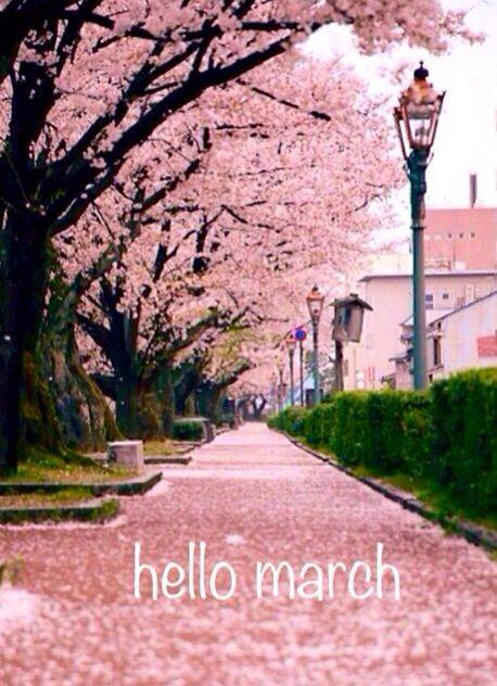 Name:  hello march.jpg
Views: 155
Size:  57.5 KB