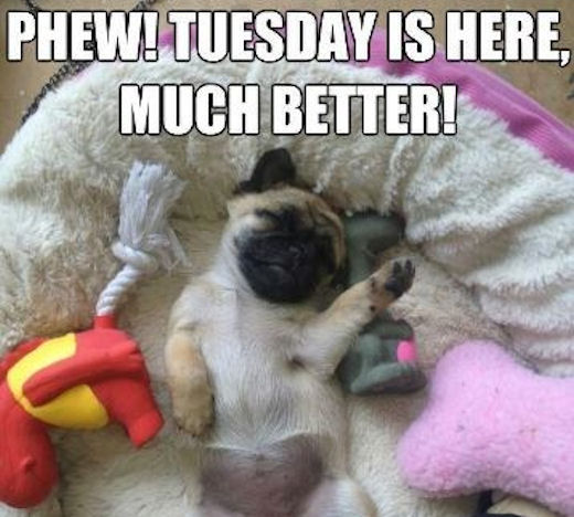 Name:  173944-Phew-Tuesday-Much-Better.jpg
Views: 43
Size:  52.1 KB