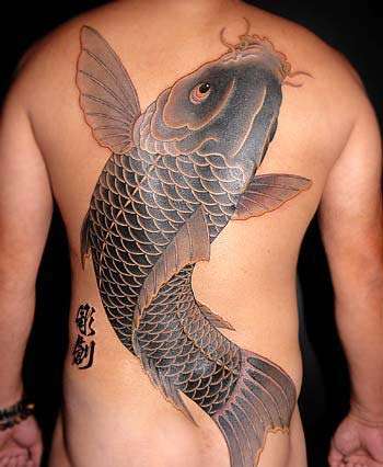 Name:  fish tattoos.jpg
Views: 110
Size:  22.8 KB