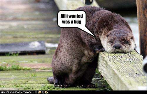 Name:  funny-pictures-otter-wanted-hug.jpg
Views: 5592
Size:  28.8 KB