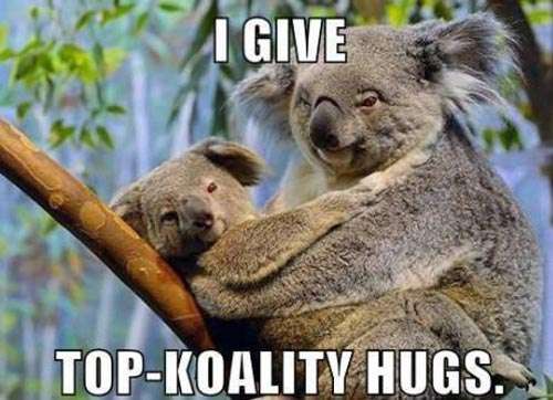 Name:  top-koality-hugs.jpg
Views: 1011
Size:  31.2 KB