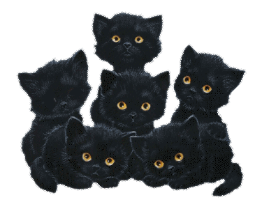 Name:  blackcats.gif
Views: 150
Size:  31.5 KB