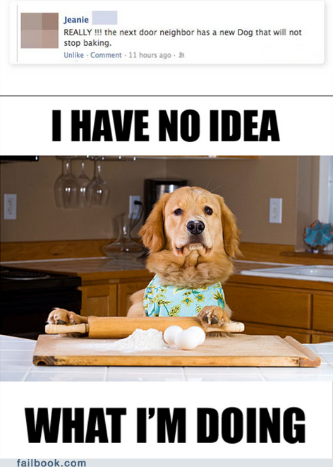 Name:  funny-facebook-fails-silly-dog-you-cant-bake-youre-a-dog1.png
Views: 278
Size:  422.8 KB