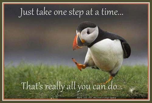 Name:  just-take-one-step-at-a-time.jpg
Views: 2230
Size:  21.0 KB
