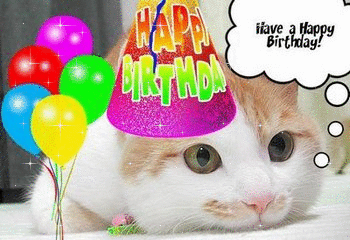 Name:  happy-birthday-cat-glitter_0.gif
Views: 122734
Size:  171.4 KB