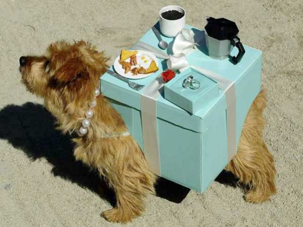 Name:  Breakfast dog.jpg
Views: 135
Size:  97.0 KB
