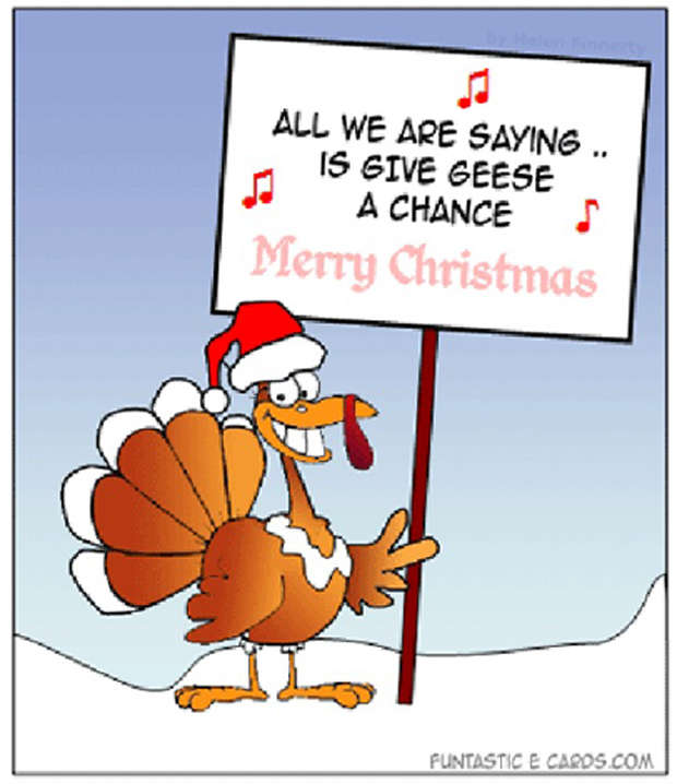 Name:  funny-christmas-pictures-funny-christmas-turkey.jpg
Views: 9002
Size:  66.4 KB