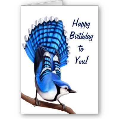 Name:  happy_birthday_bluejay_bird_card-p137791086698785811b2icl_400.jpg
Views: 1866
Size:  30.3 KB