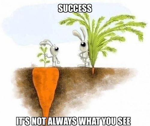 Name:  success-big-carrot.jpg
Views: 46
Size:  47.0 KB