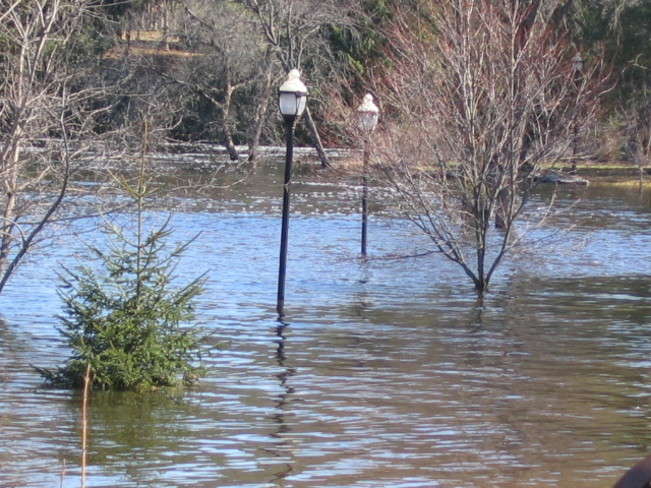 Name:  kinmount park flooding.jpg
Views: 1201
Size:  61.1 KB