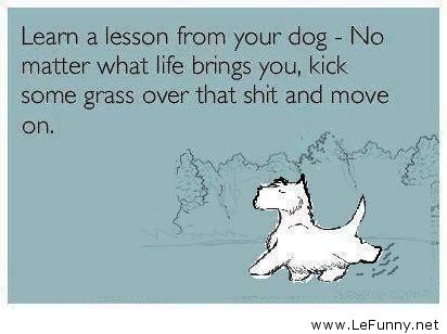 Name:  Learn-a-lesson-from-your-dog.jpg
Views: 723
Size:  23.9 KB