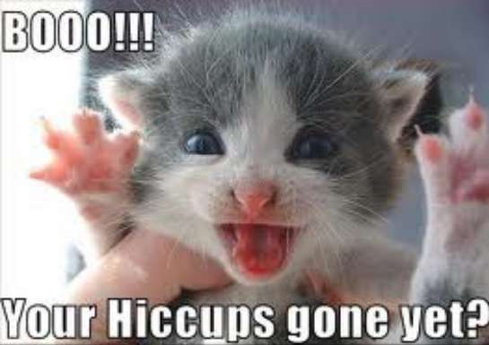 Name:  hiccups.jpg
Views: 4615
Size:  21.5 KB