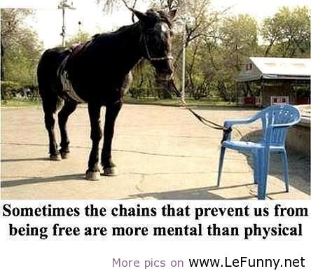Name:  Chains-that-prevent-us-from-being-free-lefunny_net_.jpg
Views: 51
Size:  40.7 KB