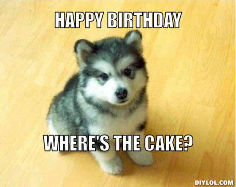 Name:  resized_baby-courage-wolf-meme-generator-happy-birthday-where-s-the-cake-9f8a5e.jpg
Views: 7748
Size:  57.7 KB