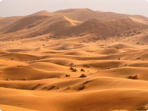 Name:  sahara-desert.jpg
Views: 652
Size:  17.5 KB