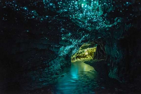 Name:  Glow-worm-cave-new-zealand.jpg
Views: 462
Size:  25.0 KB