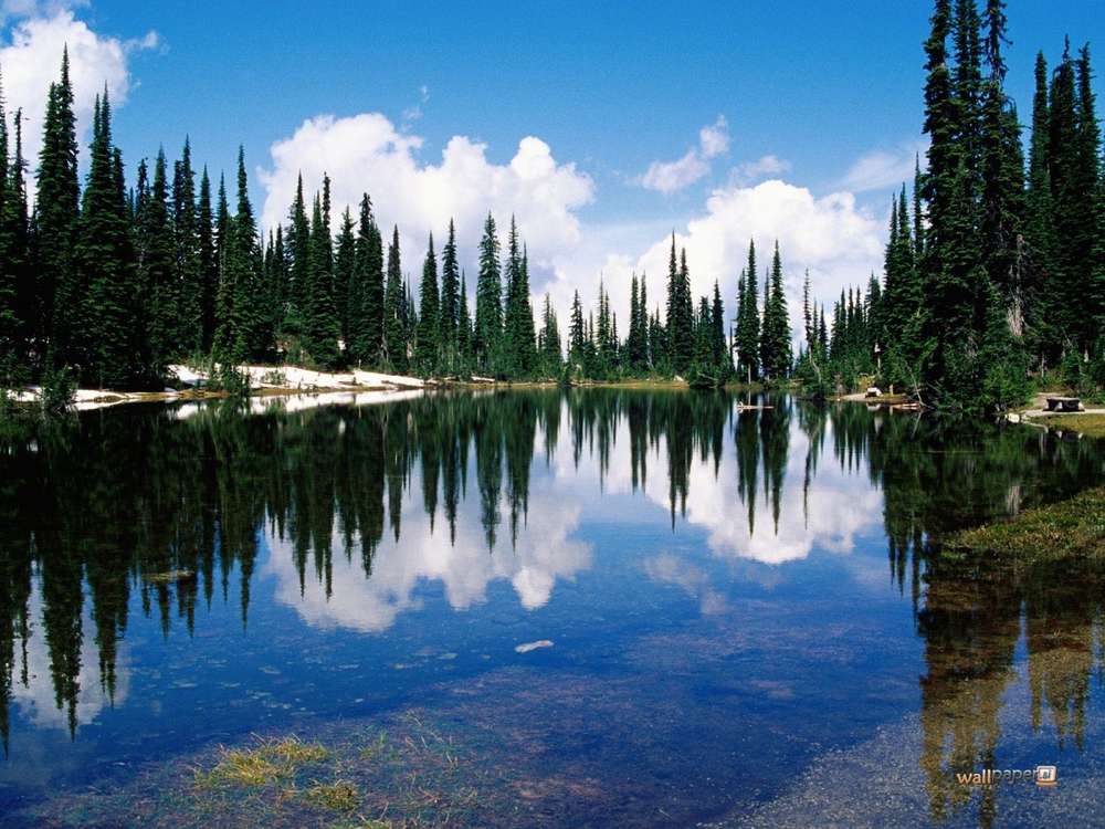 Name:  Balsam-Lake-Mount-Revelstoke-National-Park-British-Columbia-Canada-Wallpaper.jpg
Views: 4212
Size:  105.4 KB
