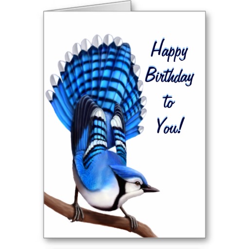 Name:  happy_birthday_bluejay_bird_card-r073c460daf764c2ba813c704cee8f2d7_xvuat_8byvr_512.jpg
Views: 2883
Size:  45.2 KB