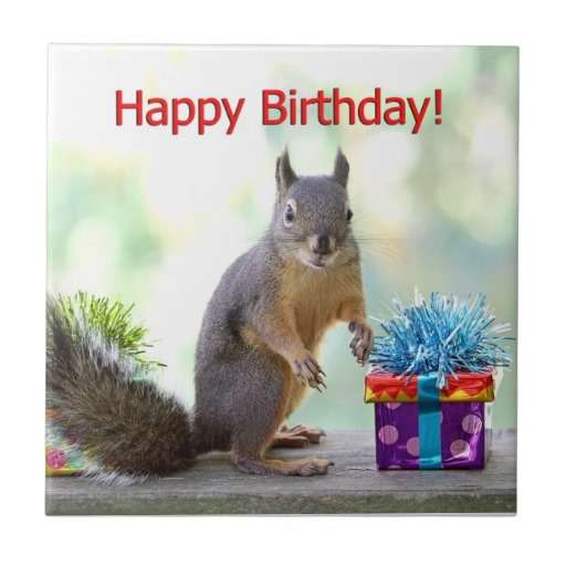 Name:  happy_birthday_squirrel_ceramic_tiles-r8a19a75ae88d4330afcf01d3bc9d557e_agtk1_8byvr_512.jpg
Views: 337
Size:  22.0 KB