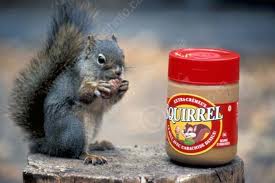 Name:  squirrel peanut butter.jpg
Views: 788
Size:  8.2 KB