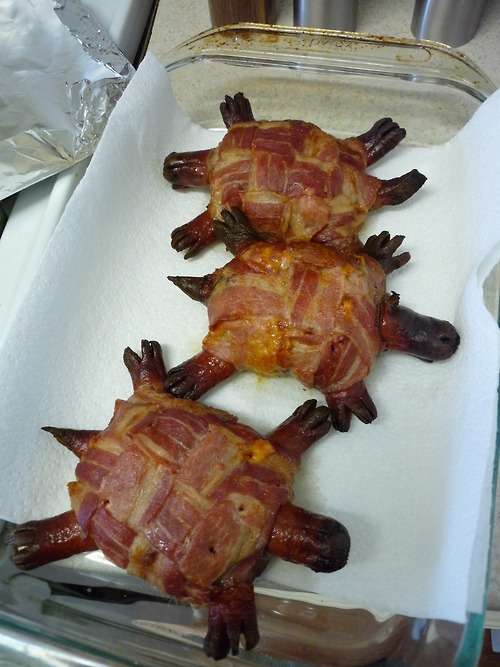 Name:  Bacon Cheese turtle burgers.jpg
Views: 748
Size:  63.4 KB