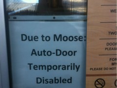 Name:  due-to-moose-auto-door-temporarily-closed-240x180.jpg
Views: 198
Size:  11.2 KB