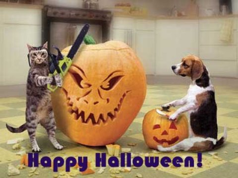 Name:  funny_halloween_picture_40.jpg
Views: 151
Size:  35.6 KB