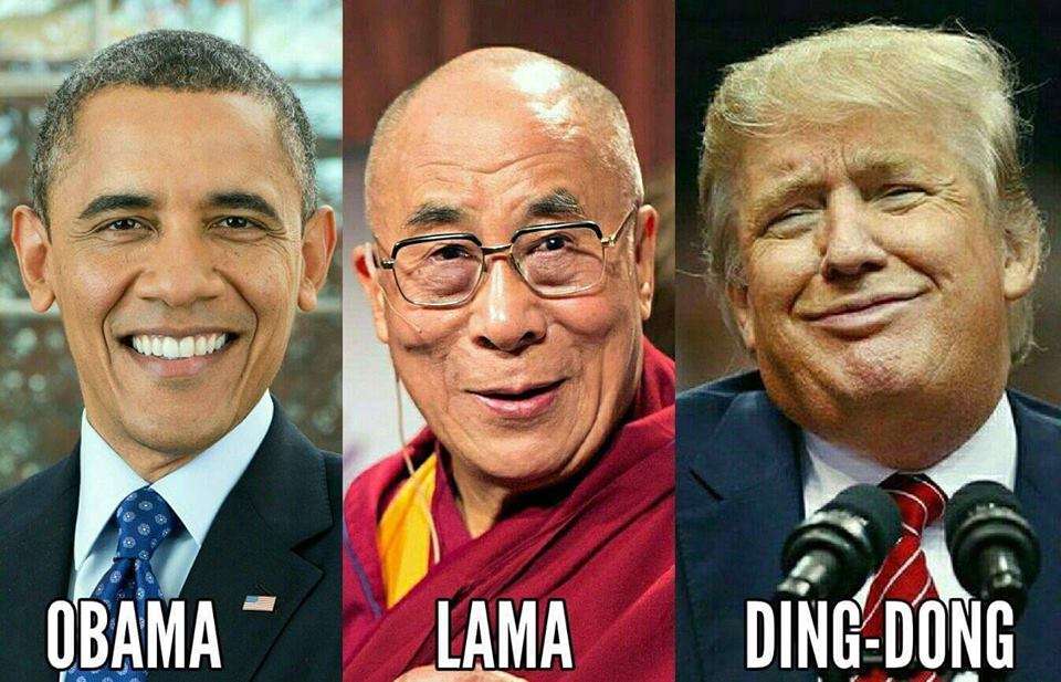 Name:  obama, Lama Ding Dong.jpg
Views: 112
Size:  94.5 KB