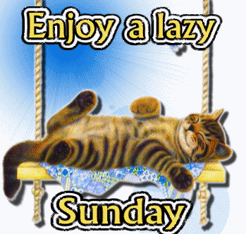 Name:  171275-Enjoy-A-Lazy-Sunday.gif
Views: 184
Size:  110.4 KB