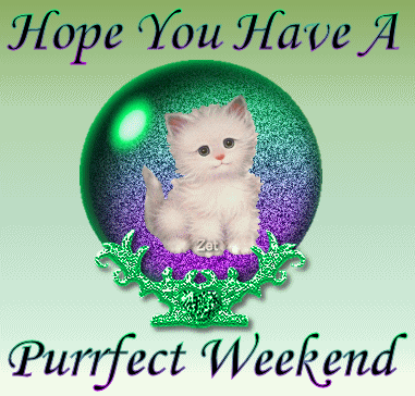 Name:  Hope-You-Have-A-Perfect-Weekend.gif
Views: 102
Size:  196.9 KB