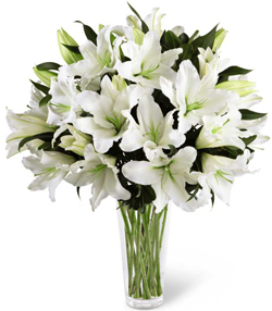 Name:  lilies.jpg
Views: 764
Size:  88.8 KB