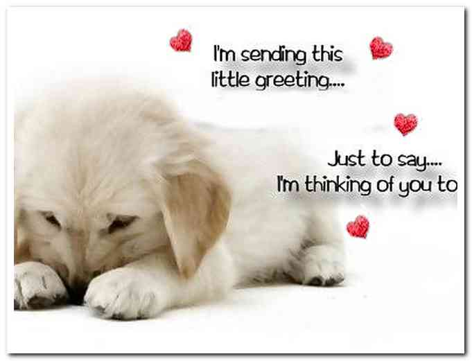 Name:  IMG_0744.JPG
Views: 278
Size:  26.0 KB