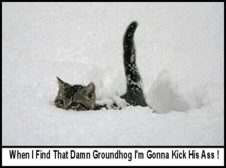 Name:  kick ass.jpg
Views: 120
Size:  49.8 KB
