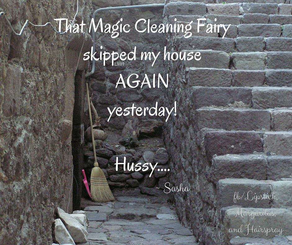 Name:  cleaning fairy.jpg
Views: 128
Size:  157.3 KB