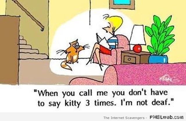 Name:  kitty-I-m-not-deaf-funny-cartoon.jpg
Views: 114
Size:  44.8 KB