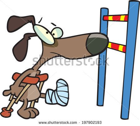 Name:  stock-vector-cartoon-dog-with-a-cast-and-crutches-looking-at-a-high-jump-1979021.jpg
Views: 167
Size:  30.8 KB