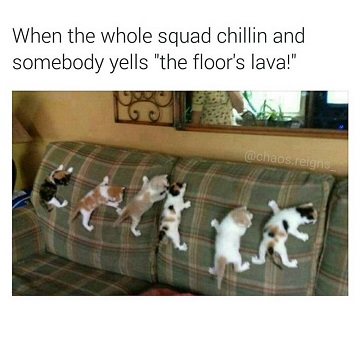 Name:  on-sofa-caption-reads-when-the-whole-squad-is-chillin-and-somebody-yells-that-the-floor-is-lava.jpg
Views: 99
Size:  41.7 KB