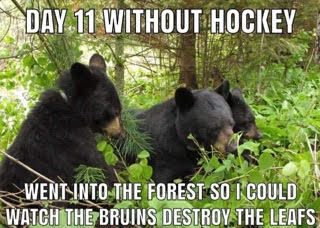 Name:  bears vs leafs.jpg
Views: 182
Size:  24.6 KB