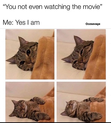 Name:  funny-meme-featuring-a-cat-lying-down-and-falling-asleep-during-a-movie.jpg
Views: 160
Size:  46.0 KB