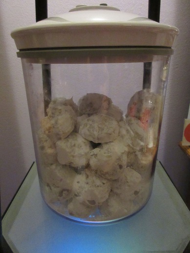 Name:  snowball cookies Mmmm.jpg
Views: 156
Size:  73.0 KB