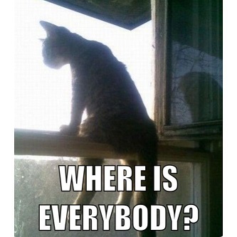 Name:  lonely Caturday.jpg
Views: 84
Size:  36.3 KB