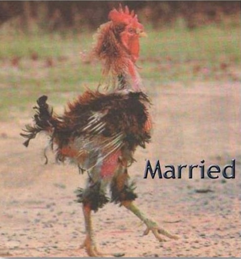 Name: married guy 1.jpg
Views: 146
Size: 69.6 KB