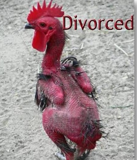 Name:  divorced guy 1.jpg
Views: 126
Size:  85.1 KB