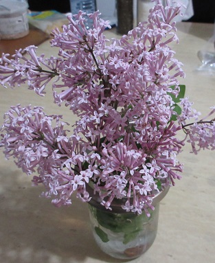 Name:  lilac scent.jpg
Views: 110
Size:  79.5 KB